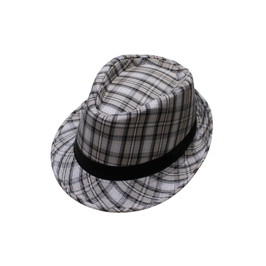 IGO2508311  Light Plaid Band Trilby Hat