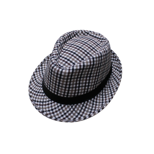 IGO2508312 Dark Plaid Band Trilby Hat