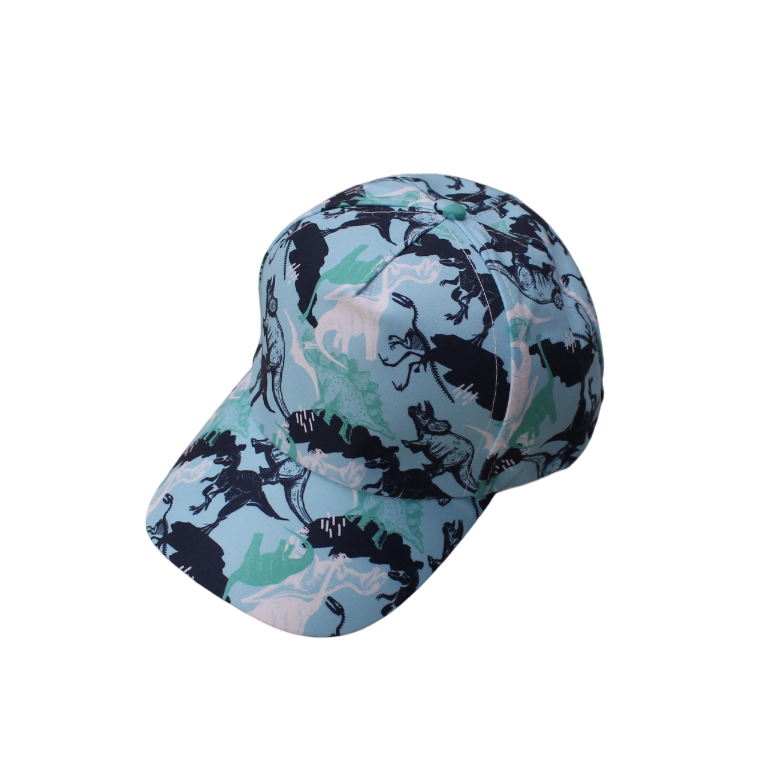 IGO2508328 Light Blue Dinosaur Silhouette Printed Baseball Cap