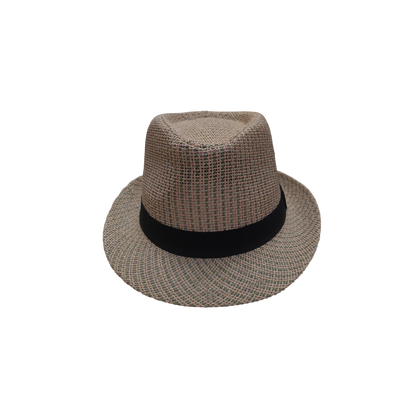 IGO2508467 Multicolor Weave Trilby Hat