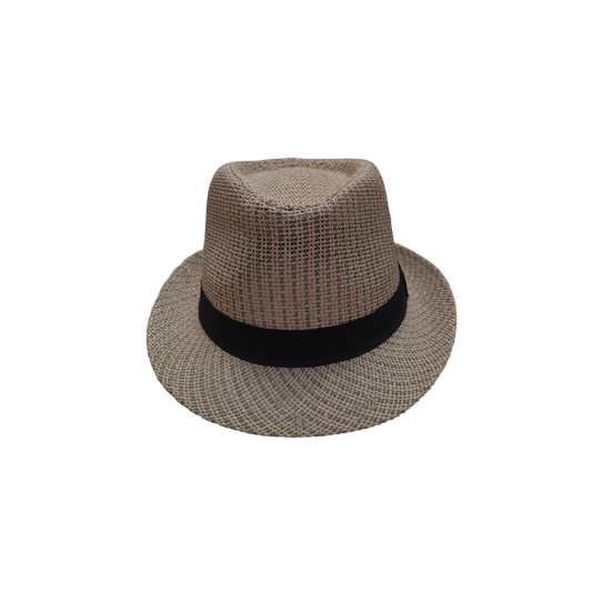 IGO2508467 Multicolor Weave Trilby Hat