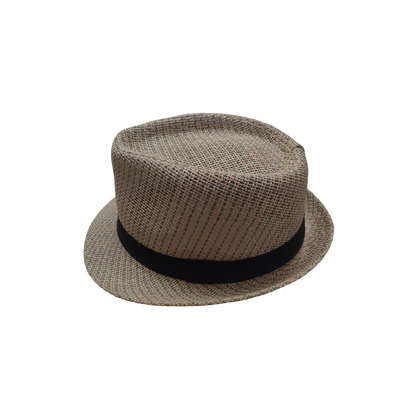 IGO2508467 Multicolor Weave Trilby Hat