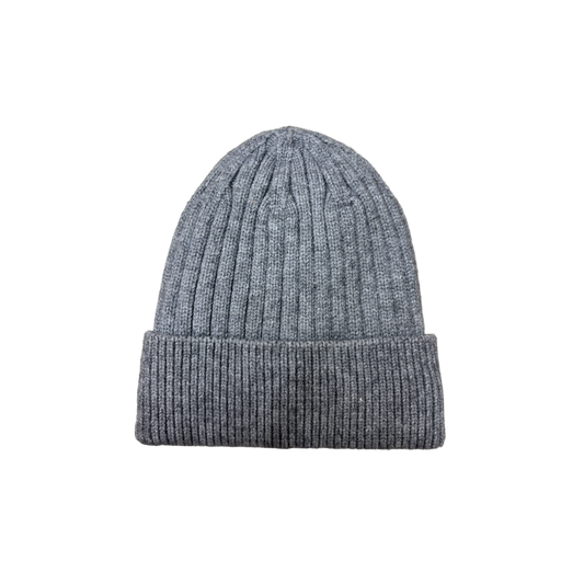 IGO2507509-1 3D Ribbed Basic Ski Cap