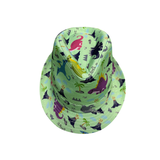 IGO2507335 Cartoon Dinosaur Printed Trilby Hat